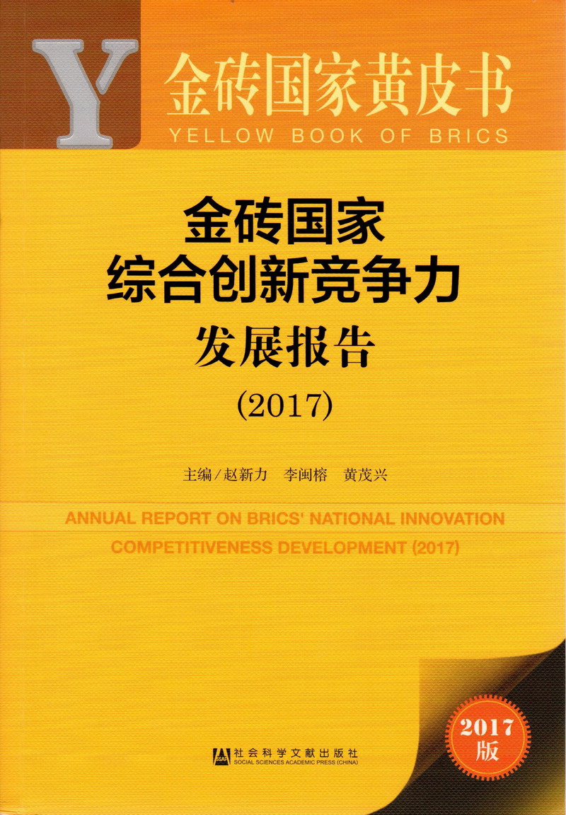 男生把坤坤塞进女生腚眼金砖国家综合创新竞争力发展报告（2017）